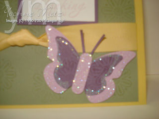 Close Up Butterfly Card