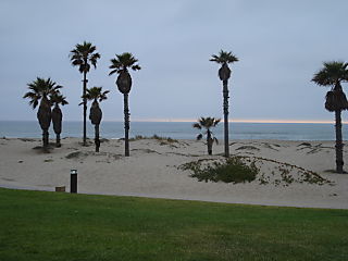 DSC00839